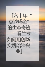 六十年“点沙成金”的生态奇迹——看兰考如何用创新实践治沙兴业
